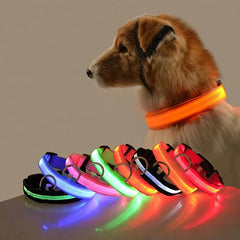 Night Glow Leash