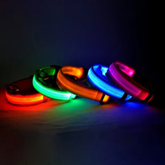 Night Glow Leash