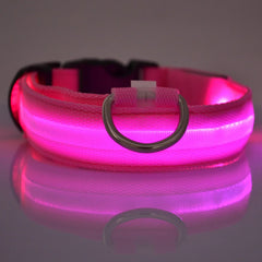 Night Glow Leash